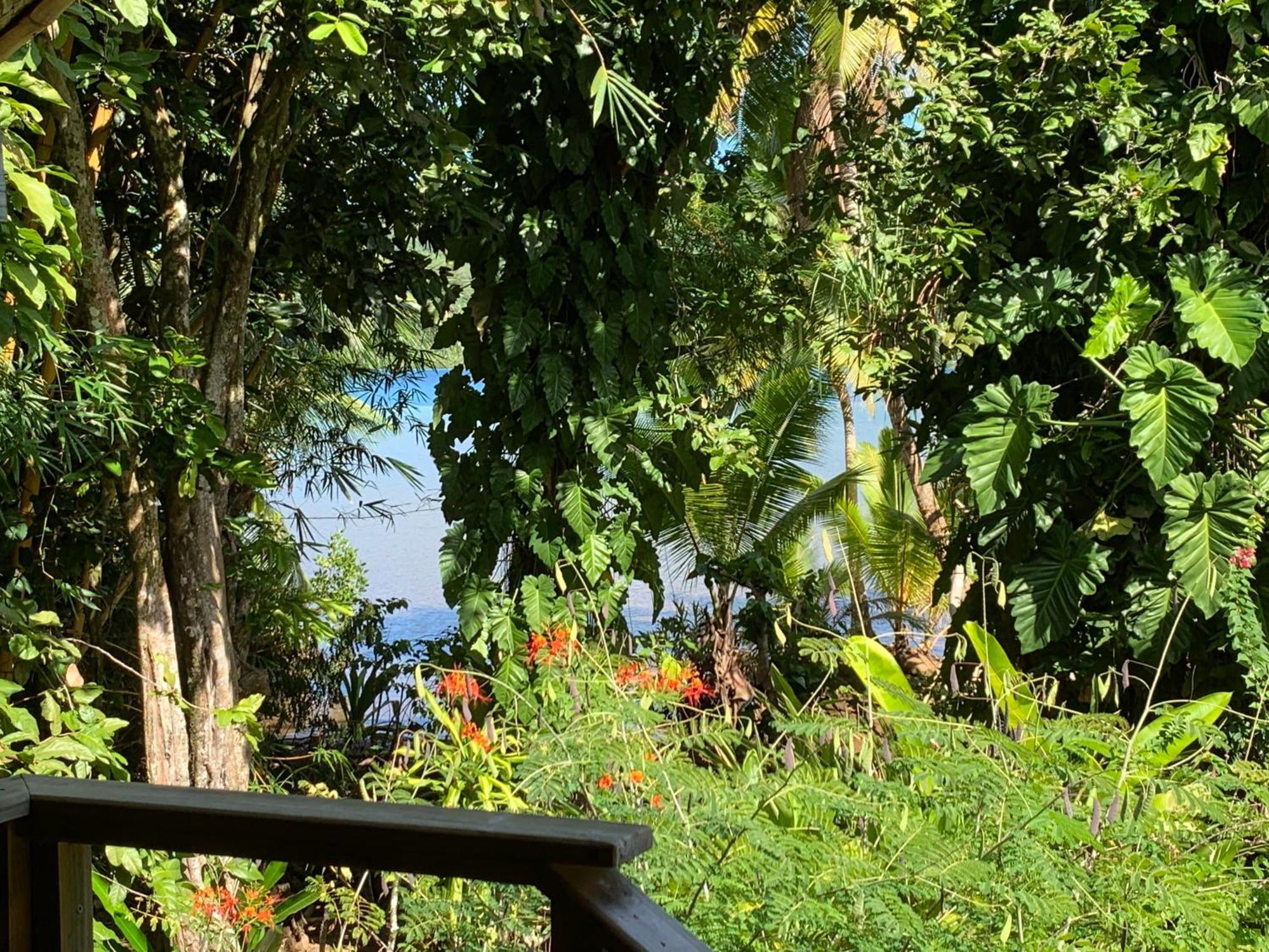 Pension Tupuna Haapu Exterior foto